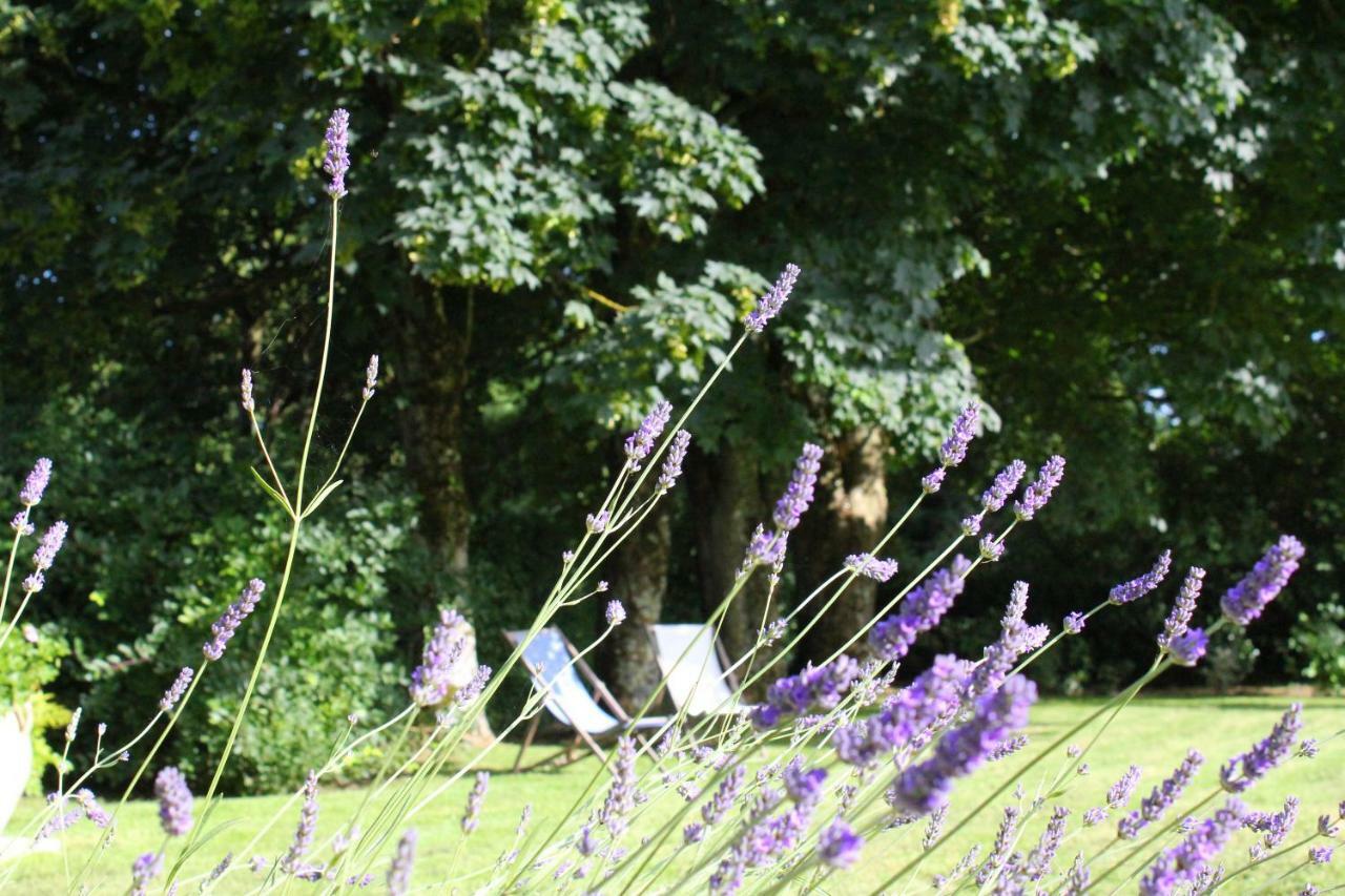 Les Goubelins Bed and Breakfast La Lande-d'Airou Buitenkant foto